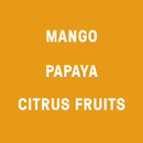 Colombia, La Muralla - Filter