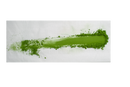 1 kg First Flush Ceremonial-Grade Matcha-Pulver KGM-335