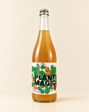 Plant Magic Skin Contact White wine bottle, front label, warm cream studio background